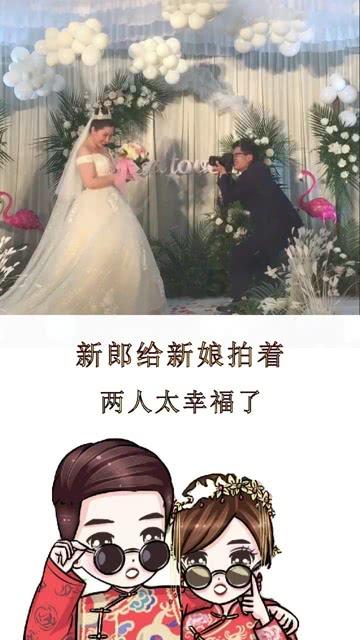 动物帮帮忙保卫家园